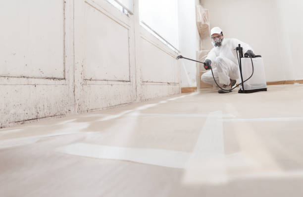 24/7 Emergency Attic Mold Removal experts in Cumming, GA